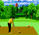 Ernie Els Golf (Europe) (En,Fr,De,Es,It) In game screenshot